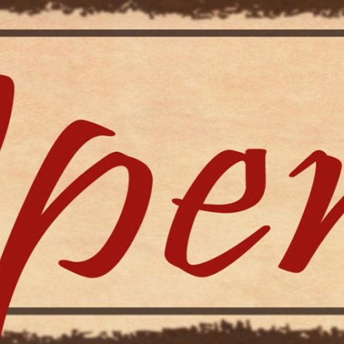 Schild Open Offen Geöffnet Geschäft Laden Lokal Restaurant 27x10 Blech od.Holz