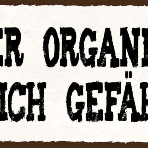 Schild Besser Organisiert Wäre Ich Gefährlich Chaotisch 27x10 Blech od.Holz