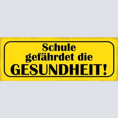 Schild schule gefährdet die gesundheit lehrer schüler 27 x 10 blech od. holz