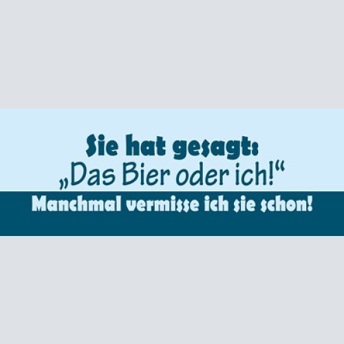 Schild sie hat gesagt das bier oder ich manchmal vermisse ich sie schon 27 x 10