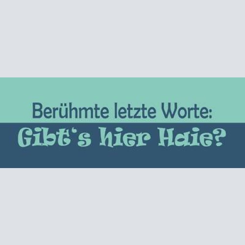 Schild berühmte letzte worte gibts hier haie meer haifisch 27 x 10 blech od.holz