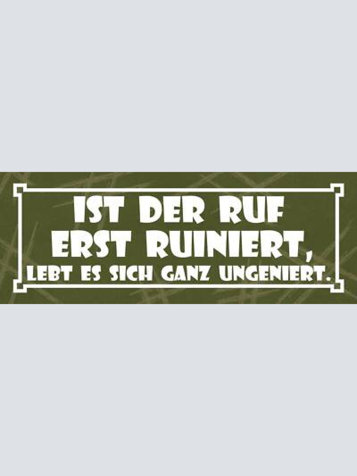 Schild ist der ruf erst ruiniert lebt es sich ganz ungeniert 27x10 blech od.holz