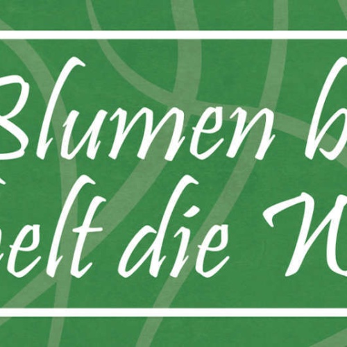 Schild Wo Blumen Blühen Lächelt Die Welt Garten Park 27 x 10 Blech od. Holz