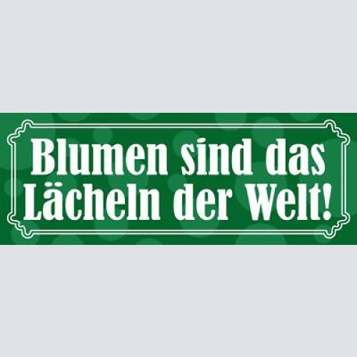 Schild blumen sind das lächeln der welt strauß garten park 27x10 blech od.holz