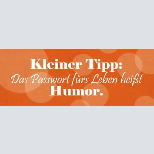 Schild kleiner tipp das passwort fürs leben heißt humor 27 x 10 blech od. holz