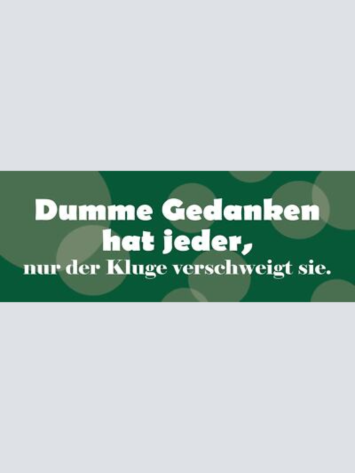 Schild dumme gedanken hat jeder nur der kluge verschweigt sie 27 x 10