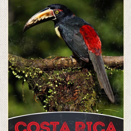 Schild Costa Rica Central Zentral America Vogel 12x18 20x30 30x40 Blech/Holz