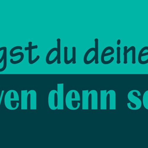 Schild Betrügst Du Deine Frau Ja Wen Denn Sonst Ehe Paar 27 x 10 Blech od. Holz