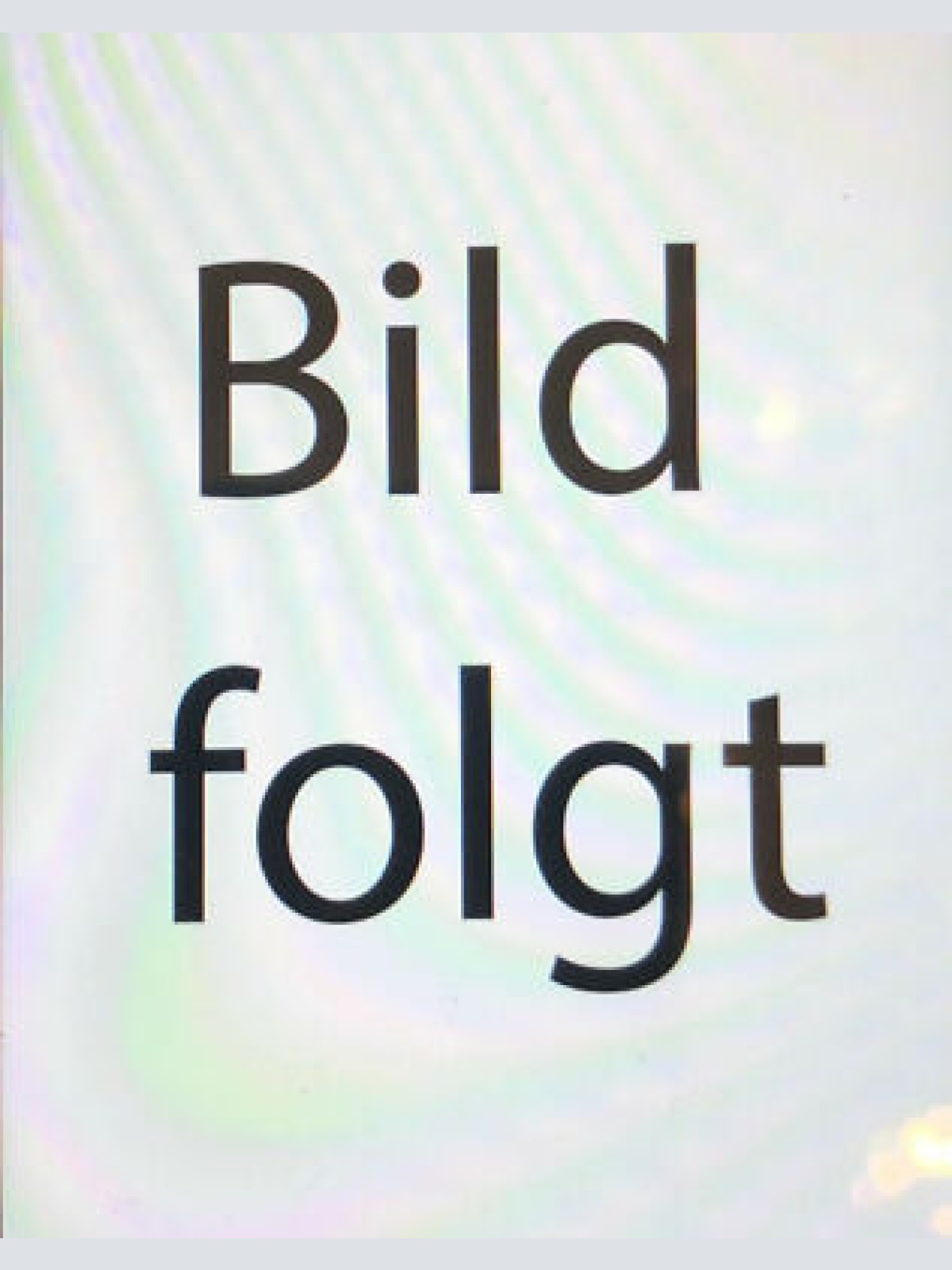 Nostalgie Holzschild Bayern   Landesbefugter Geometer