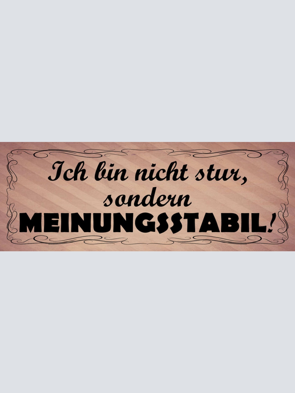 Schild Ich Bin Nicht Stur Sondern Meinungsstabil 27 x 10 Blech od.Holz