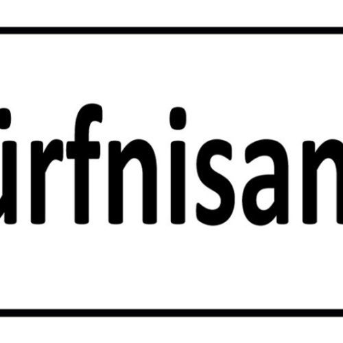 Schild Bedürfnis Anstalt WC Toilette Klo 27 x 10 Blech od.Holz