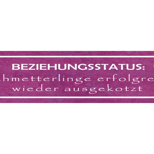 Schild Beziehung Status Schnetterlinge Trennung Liebe Ehe 46 x 10 Blech od. Holz
