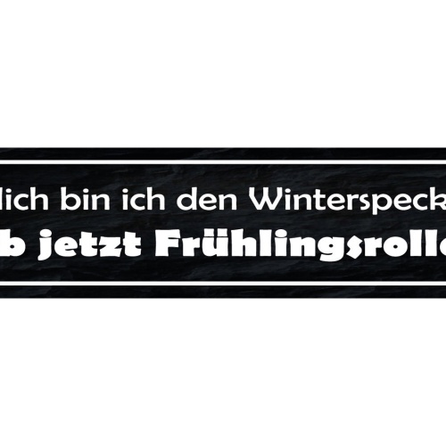 Schild Winter Speck Frühlingsrollen Abnehmen Diät Gewicht 46 x 10 Blech od. Holz