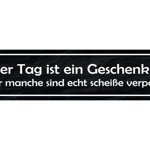 Schild Jeder Tag Geschenk Scheiße Verpackt Positiv Leben 46 x 10 Blech od. Holz
