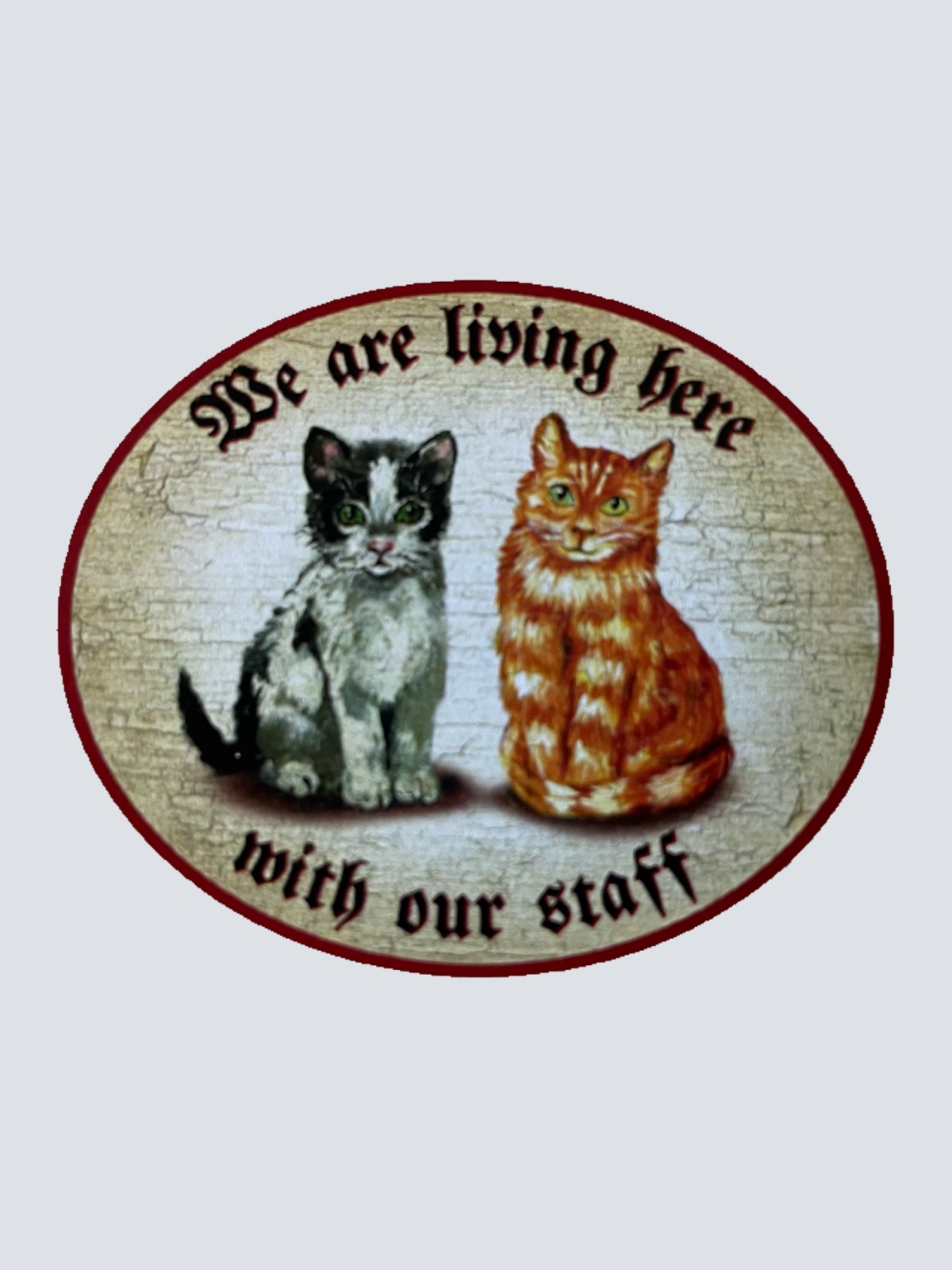 Nostalgie Holz Schild We Are Living Here With Our Staff Katzen Katze Personal