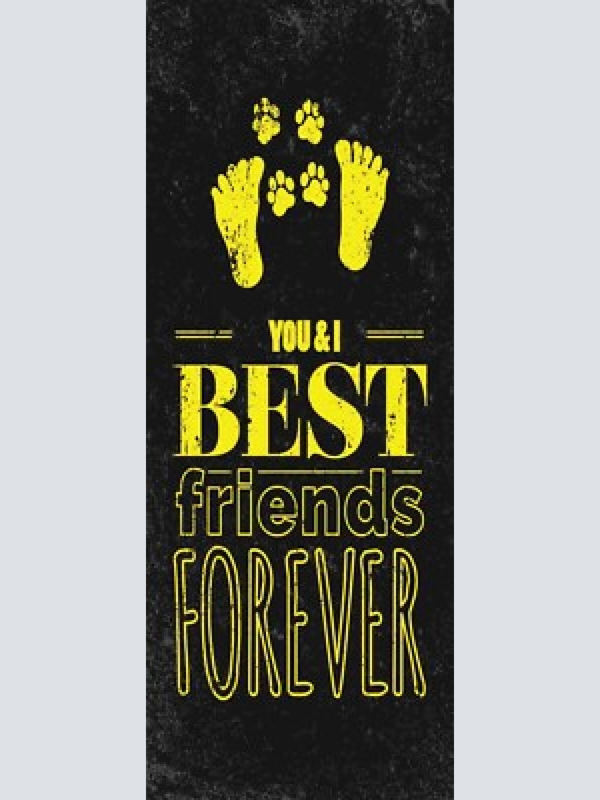 Schild you & i best friends forever beste freunde hund katze 27x10 blech od.holz