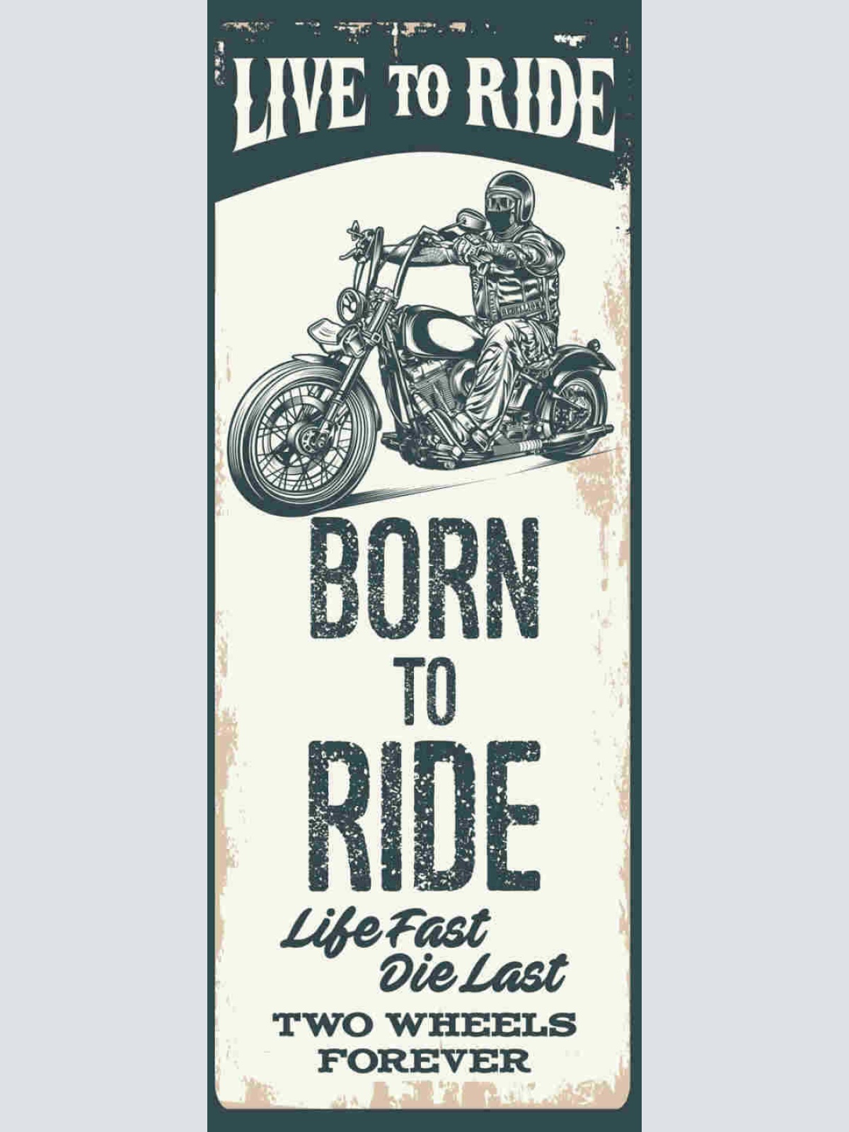 Schild Born Live To Ride Life Fast Die Last Motorrad Biker 27x10 Blech od.Holz