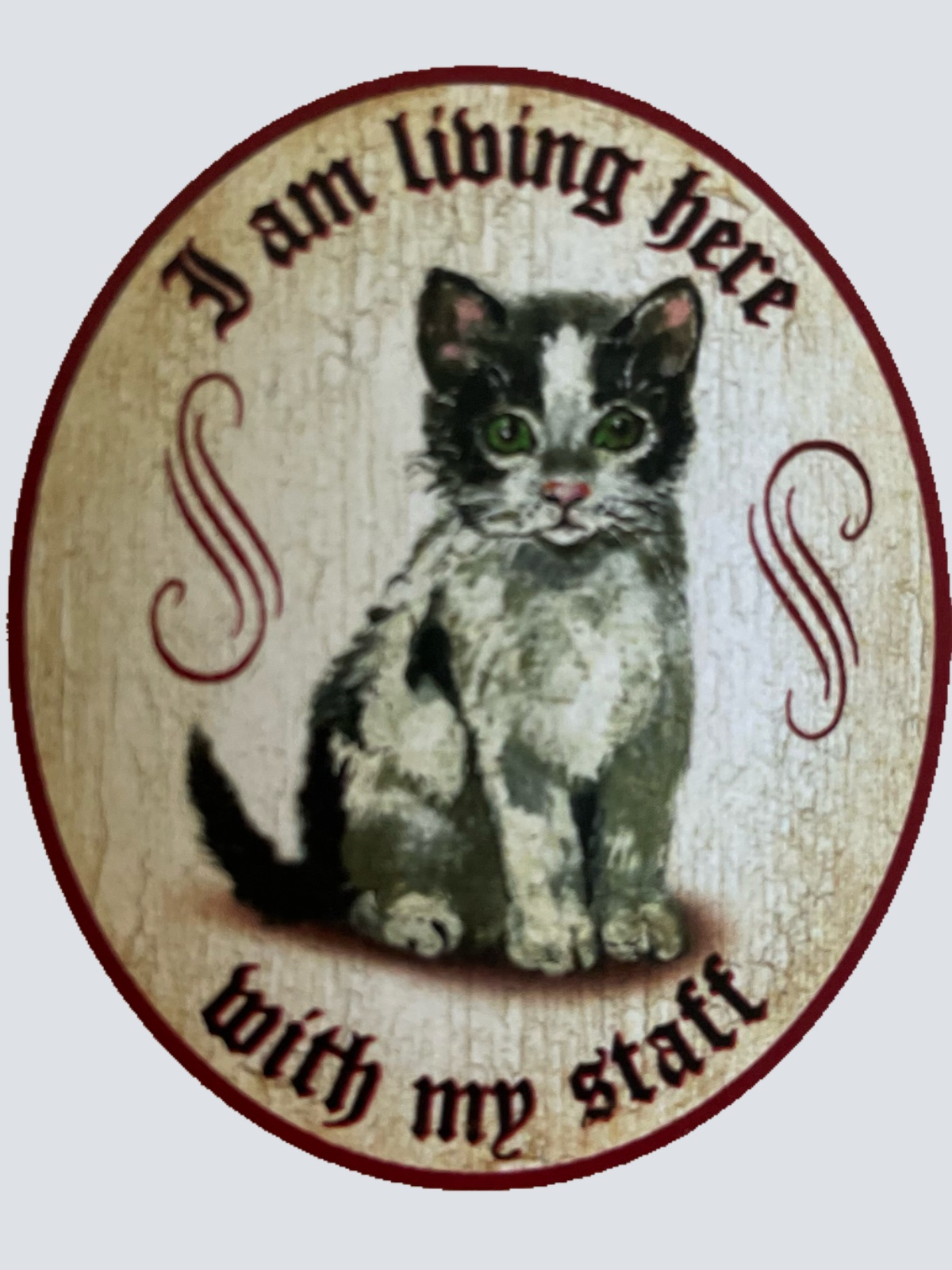 Nostalgie Holz Schild We Are Living Here With Our Staff Katzen Katze Personal