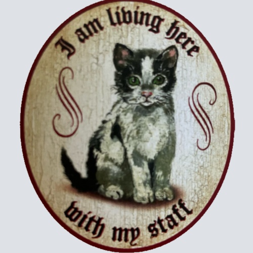 Nostalgie Holz Schild We Are Living Here With Our Staff Katzen Katze Personal