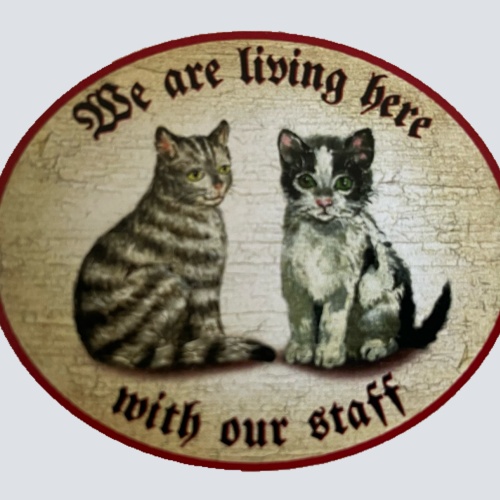 Nostalgie Holz Schild We Are Living Here With Our Staff Katzen Katze Personal
