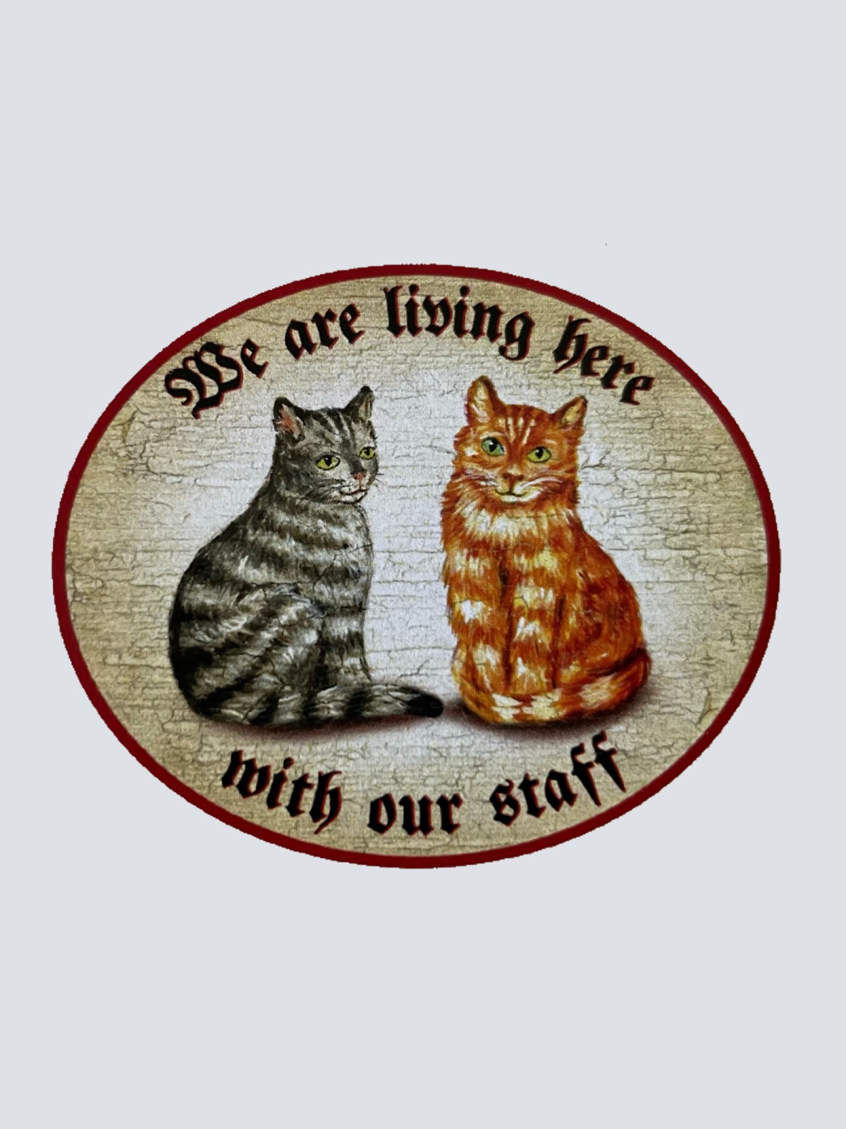 Nostalgie Holz Schild We Are Living Here With Our Staff Katzen Katze Personal