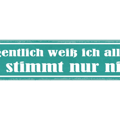 Schild Eigentlich Weiß Ich Alles Es Stimmt Nur Nie Falsch 46 x 10 Blech od. Holz