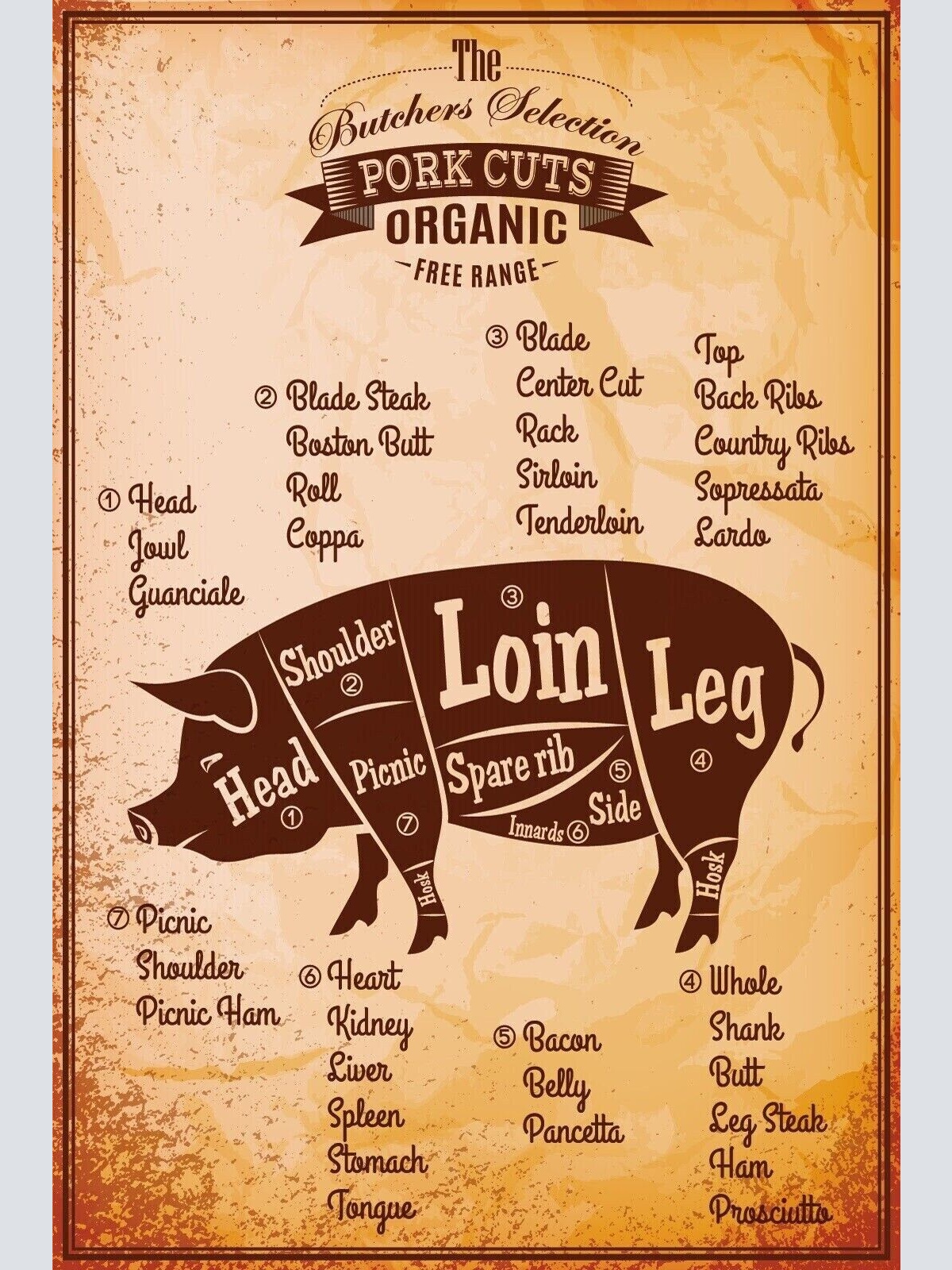 Nostalgie schild pork cuts schwein diagramm 12x18 / 20x30 / 30x40 blech od. holz