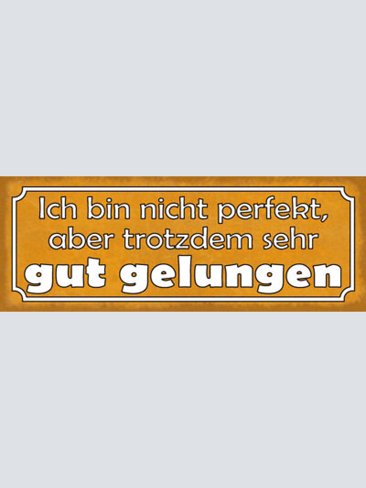 Schild ich bin nicht perfekt aber trotzdem sehr gut gelungen 27x10 blech od.holz