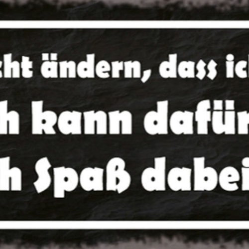 Schild Ich Kann Nicht Ändern Das Ich Alt Werde Aber Kann Dafür Sorgen Spaß Habe
