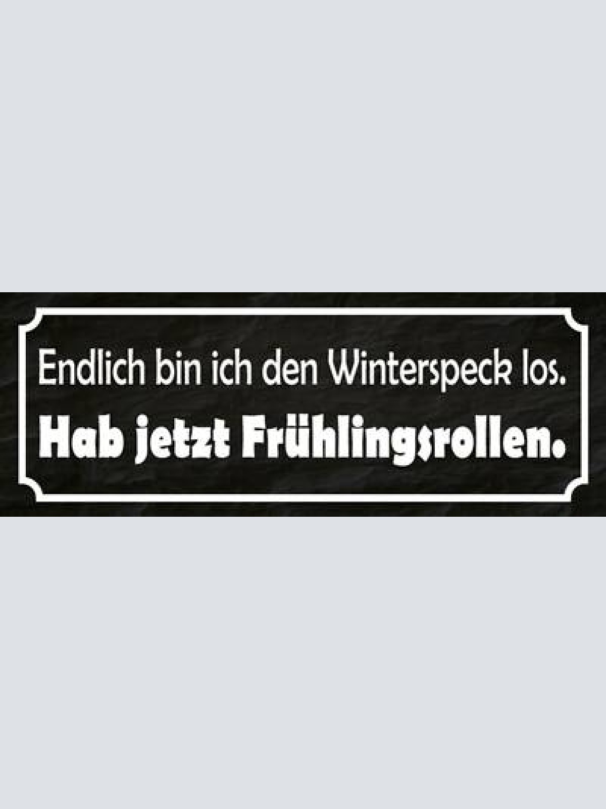 Schild endlich bin ich den winterspeck los hab jetzt frühlingsrollen 27x10