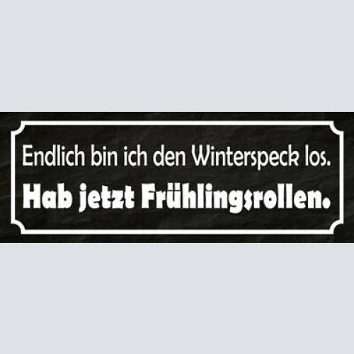 Schild endlich bin ich den winterspeck los hab jetzt frühlingsrollen 27x10