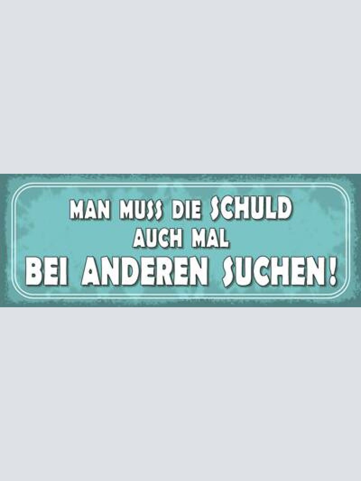 Schild man muss die schuld auch mal bei anderen suchen 27x10 blech od.holz