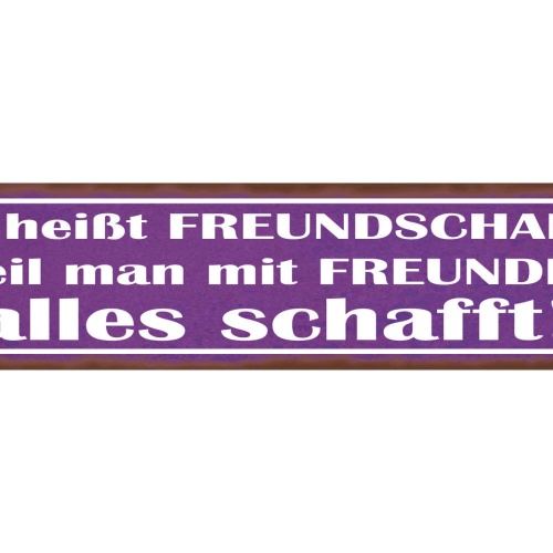 Schild Freundschaft Freunde Alles Schaffen Erreichen 46 x 10 Blech od. Holz
