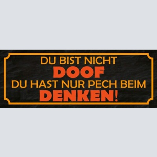 Schild du bist nicht doof du hast nur pech beim denken dumm 27x10 blech od.holz