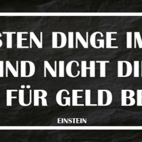 Schild Die Besten Dinge Im Leben Sind Nicht Die Man Für Geld Bekommt Einstein