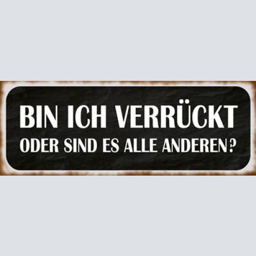 Schild bin ich verrückt oder sind es alle anderen normal 27x10 blech od.holz