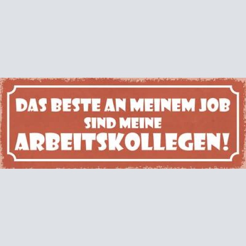 Schild das beste an meinem job sind meine arbeitskollegen 27x10 blech od.holz