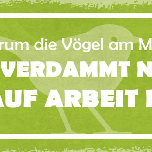 Schild Weißt Du Warum Vögel Am Morgen Singen? Weil Sie Nicht Zur Arbeit Müssen