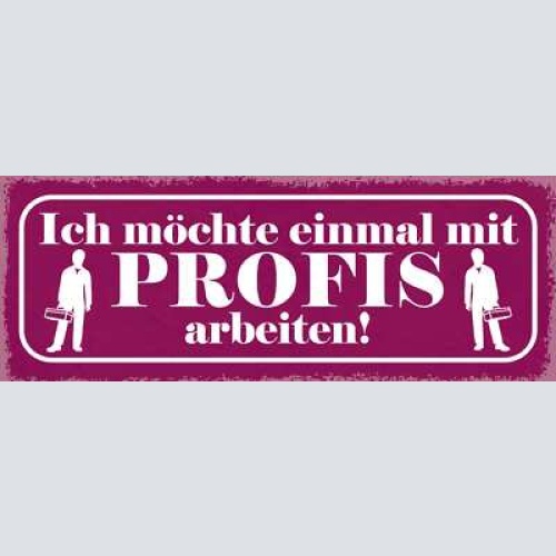 Schild ich möchte einmal mit profis arbeiten arbeit job 27x10 blech od.holz