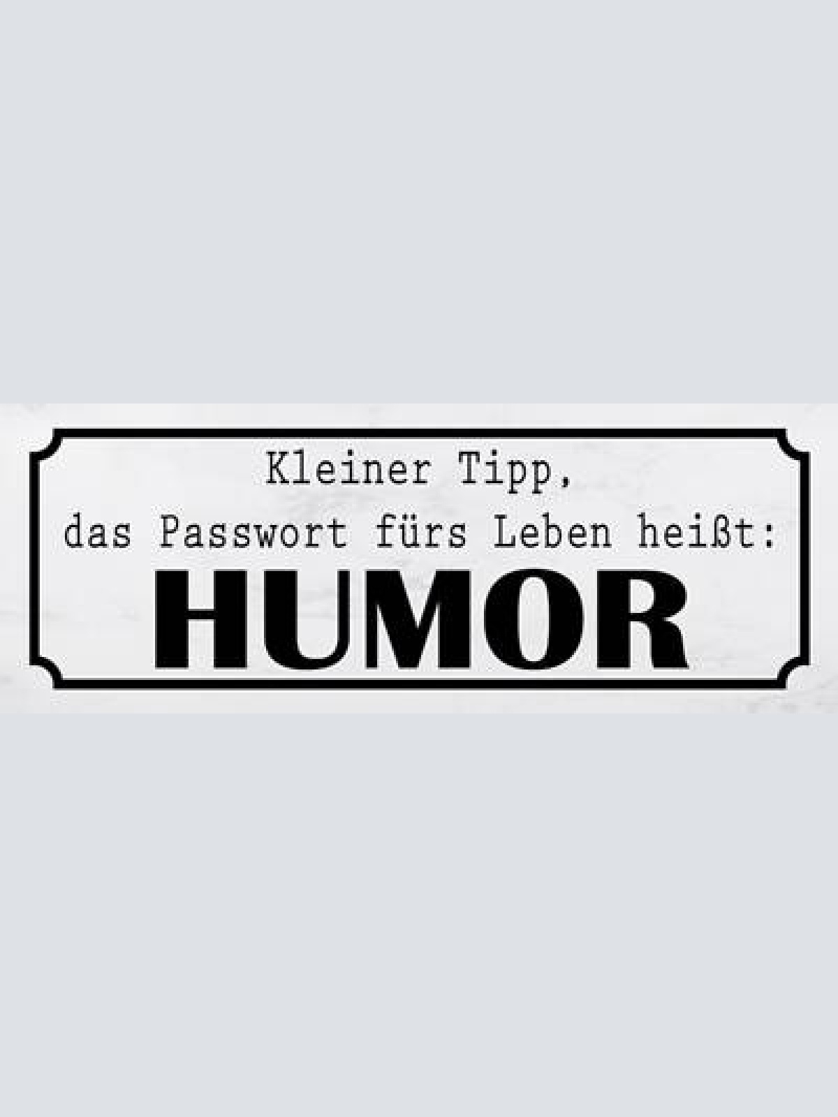 Schild kleiner tipp das passwort fürs leben heißt humor spaß 27x10 blech od.holz