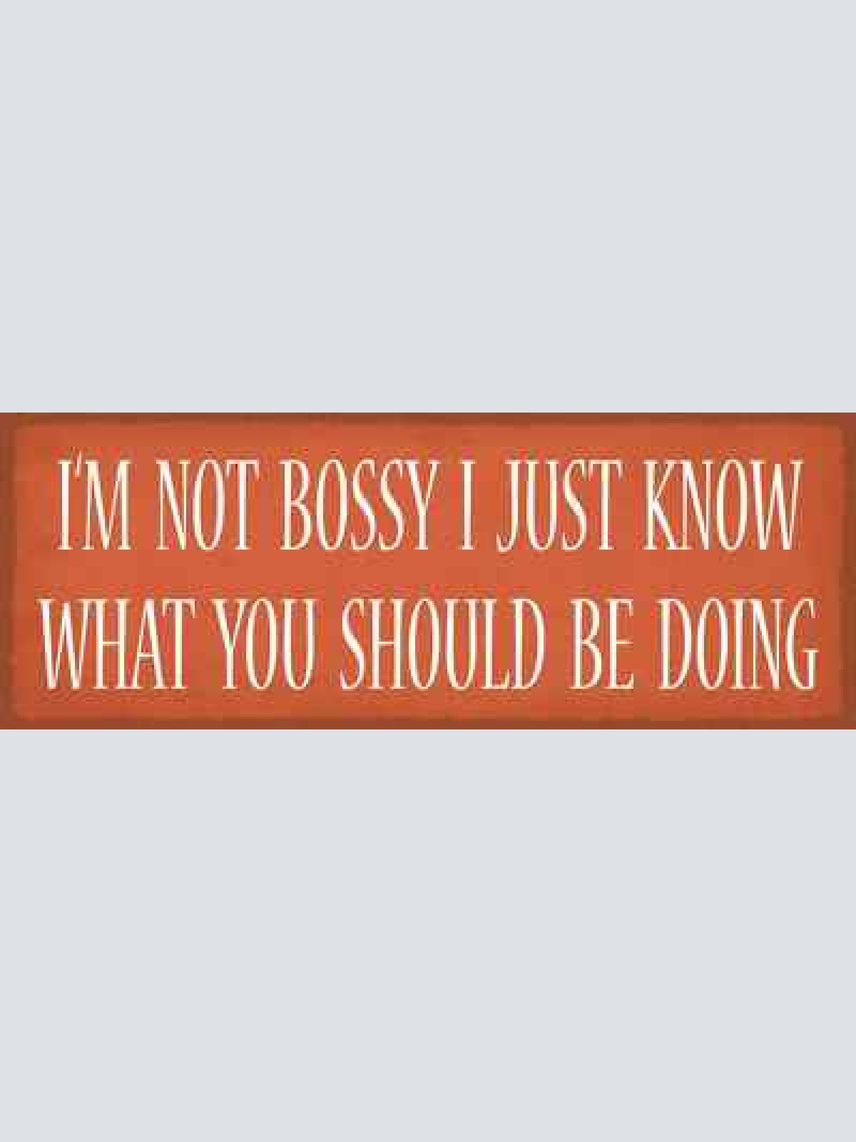 Schild i'm not bossy i just know what you should be doing 27x10 blech od.holz