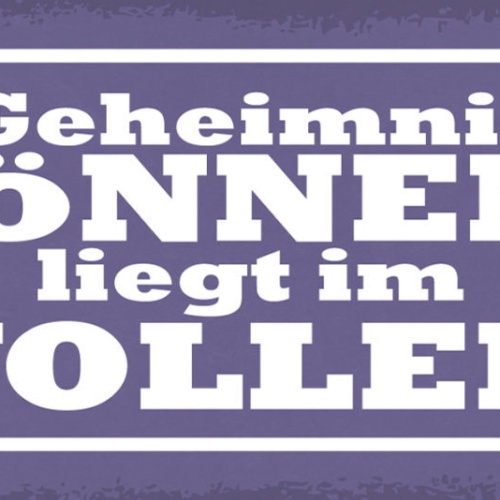 Schild Das Geheimniss Des Könnens Liegt Im Wollen Willen 27x10 Blech od.Holz