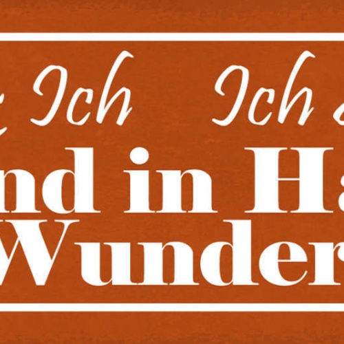 Schild Du & Ich Ich & Du Hand In Hand Ins Wunderland Liebe 27x10 Blech od.Holz