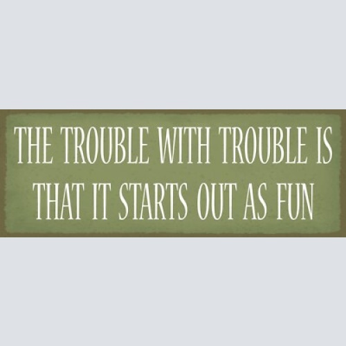 Schild the trouble with trouble is that it starts out as fun 27x10 blech od.holz