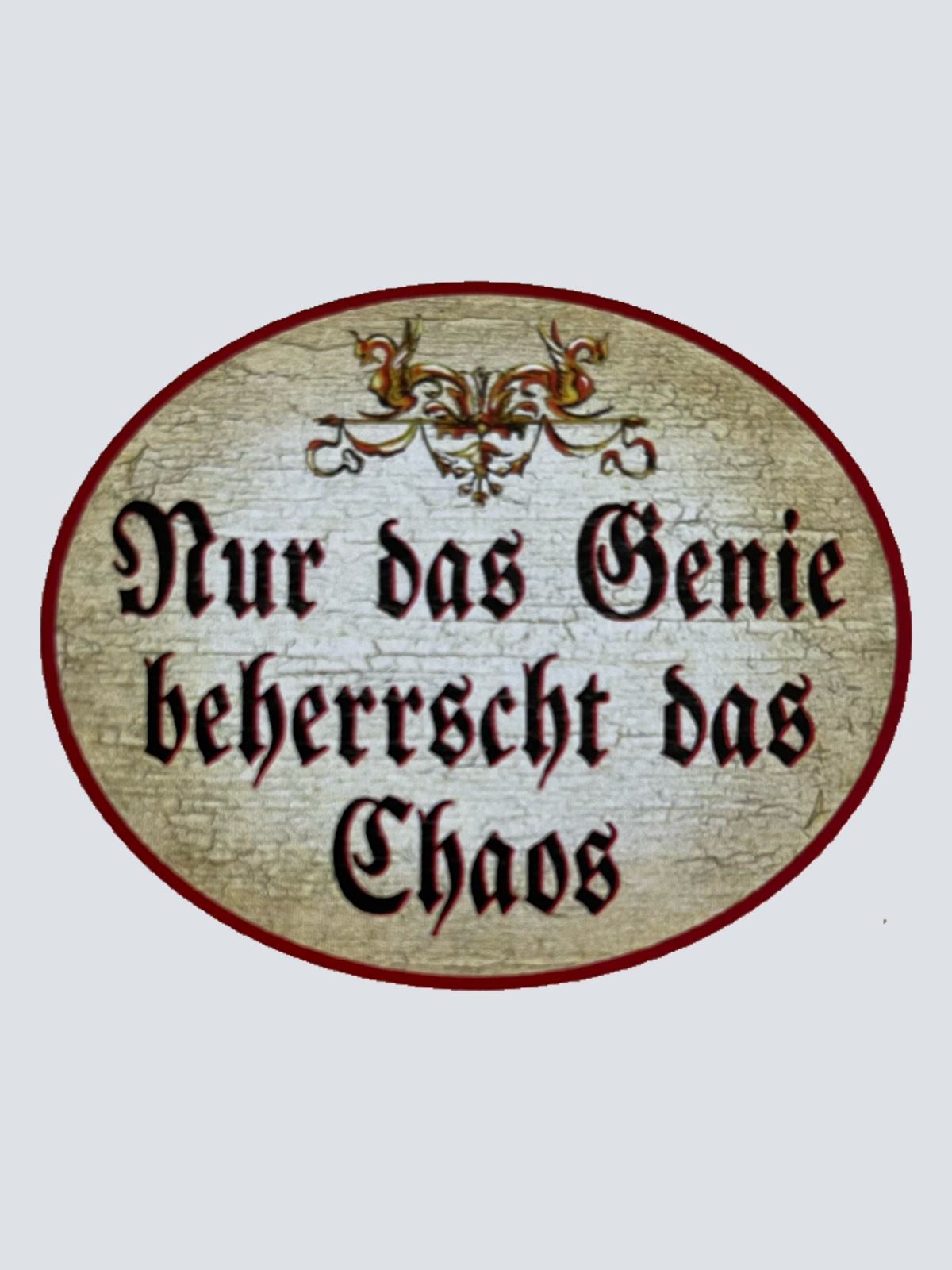 Nostalgie Holzschild Nur Das Genie Beherrscht Das Chaos Schild