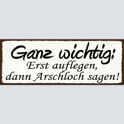 Schild ganz wichtig erst auflegen dann arschloch sagen  27x10 blech od.holz