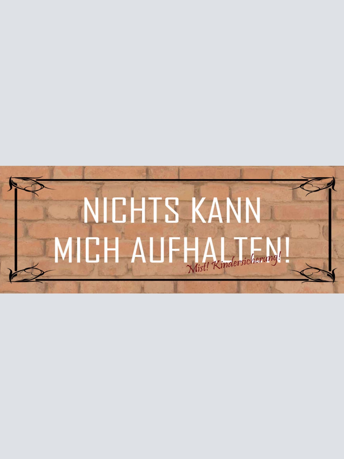Schild Nichts Kann Mich Aufhalten Mist Kindersicherung 27x10 Blech od.Holz