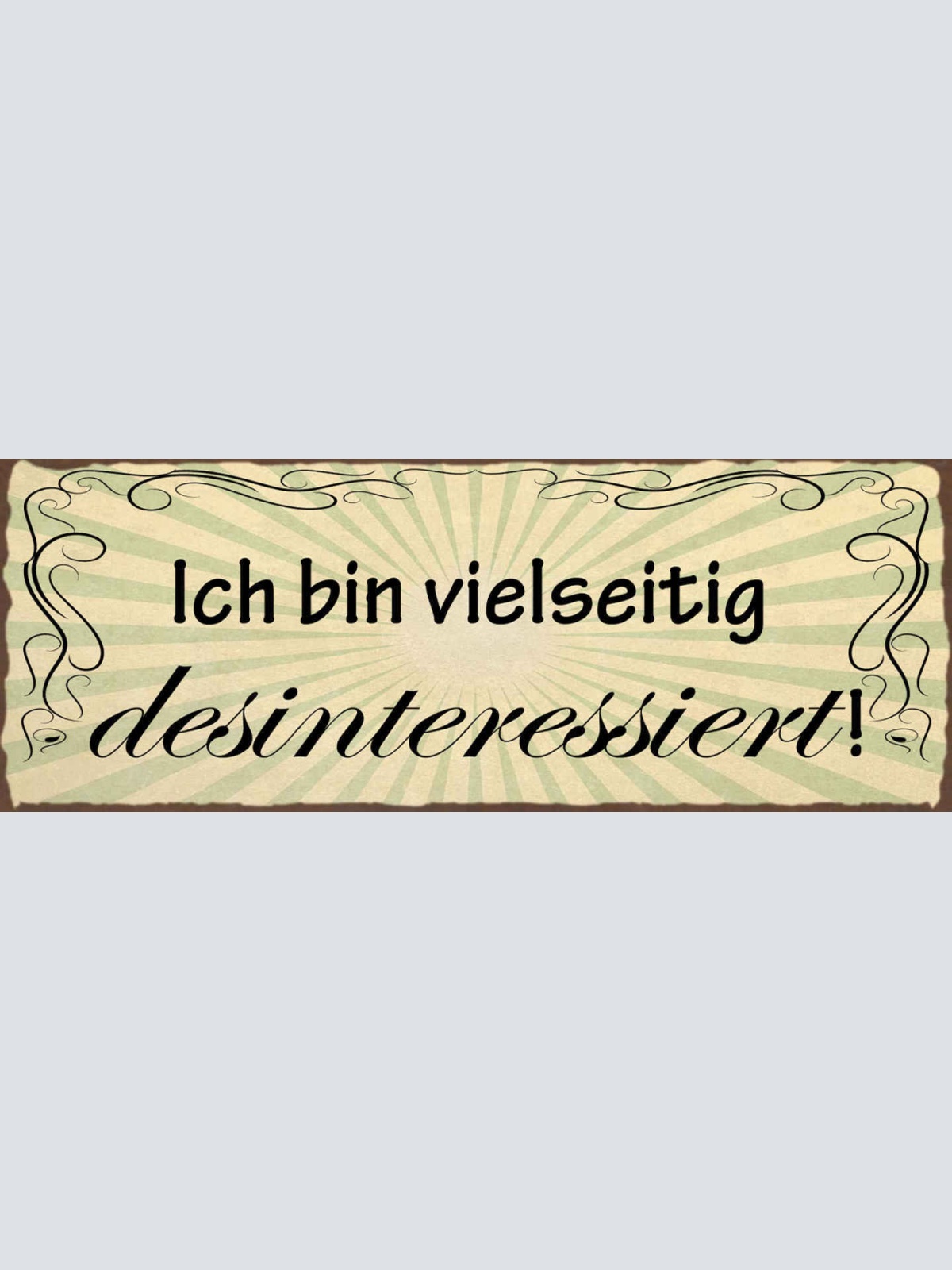 Schild Ich Bin Vielseitig Desinteressiert Keine Interesse 27x10 Blech od.Holz