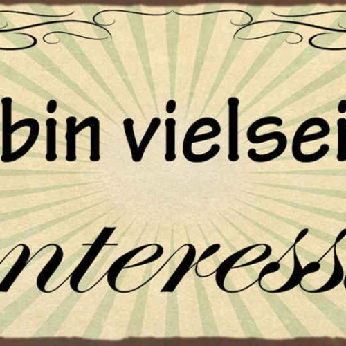 Schild Ich Bin Vielseitig Desinteressiert Keine Interesse 27x10 Blech od.Holz
