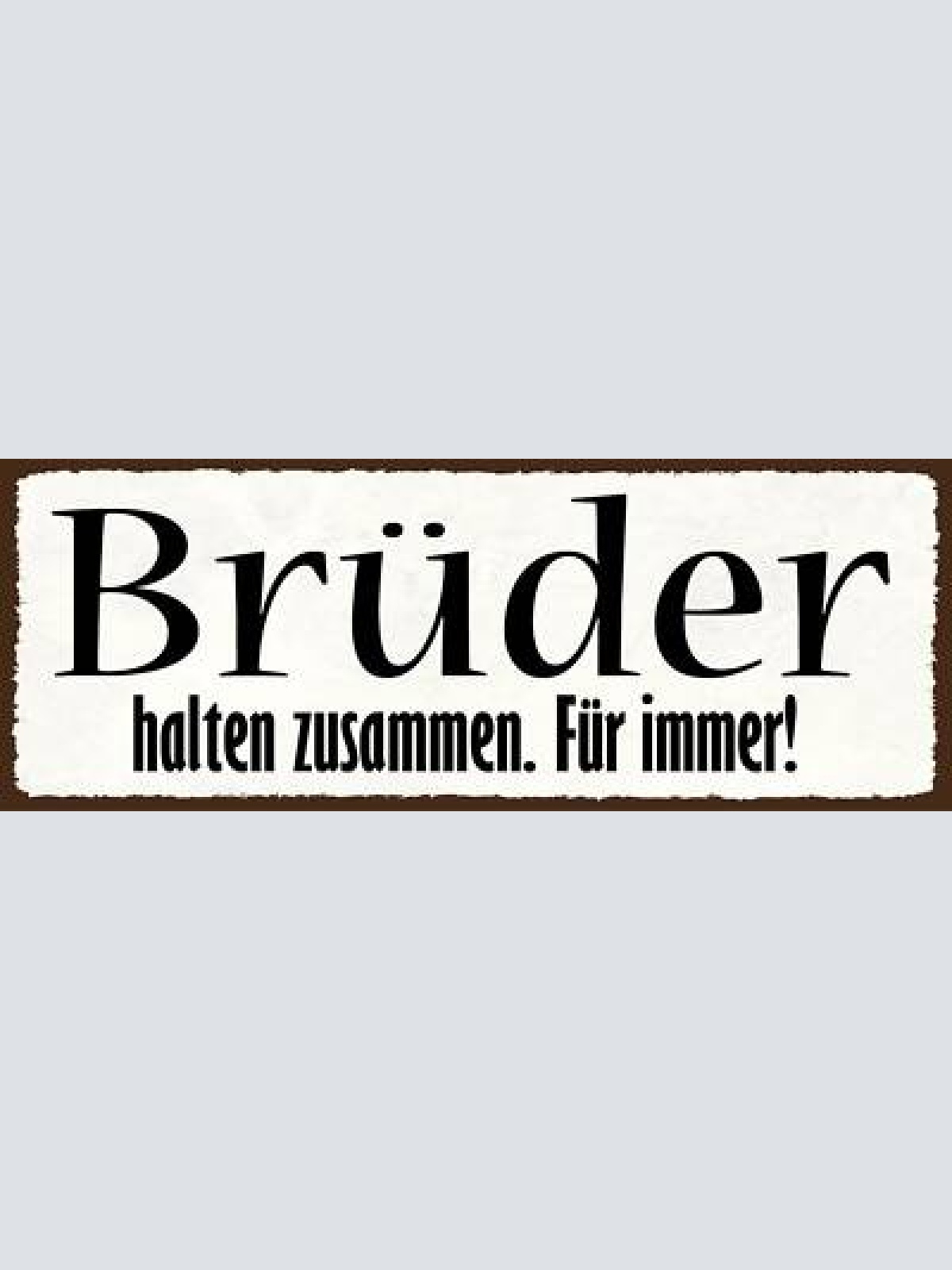 Schild brüder halten zusammen für immer geschwister familie 27x10 blech od.holz